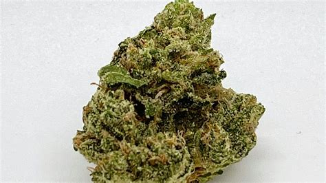 Valley Vixen Marijuana Strain Information & Reviews